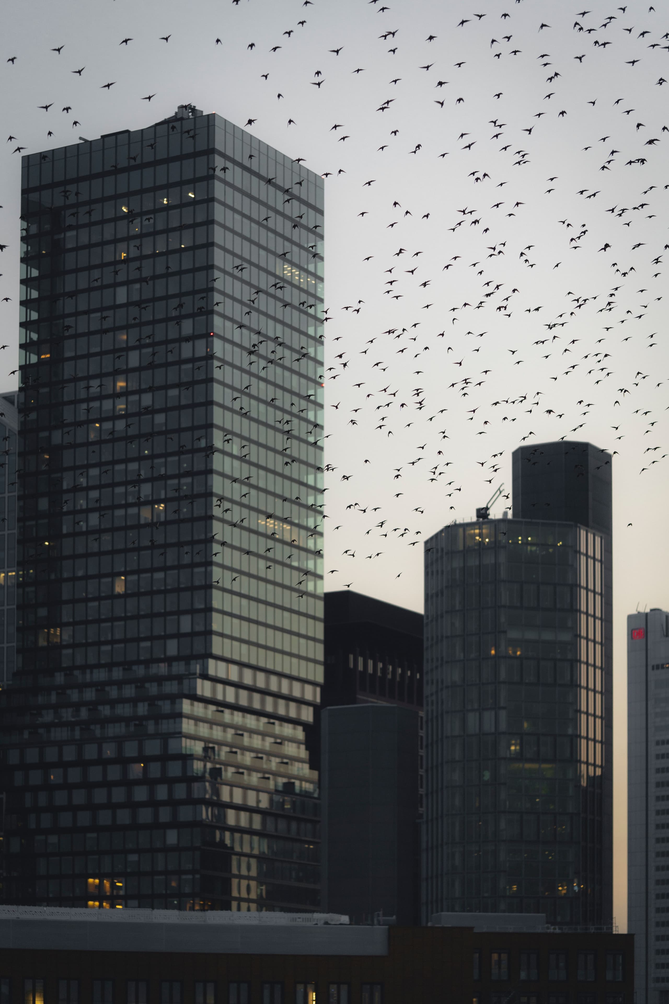 Frankfurt
